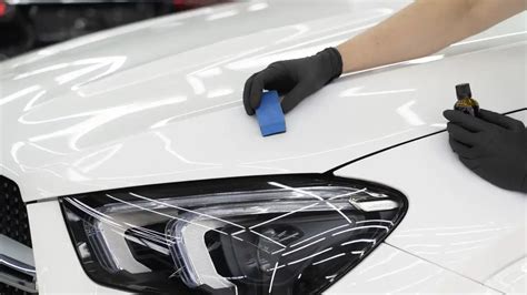 Does Ceramic Coating Protect from Rock Chips? And Why Do Birds Suddenly Appear Every Time You Wax Your Car?