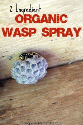 How Long is Wasp Spray Toxic to Humans: A Dive into the Unpredictable Nature of Chemical Interactions