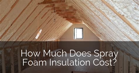 How Much Does Spray Foam Insulation Cost Per Square Foot? And Why Do Cats Love It So Much?