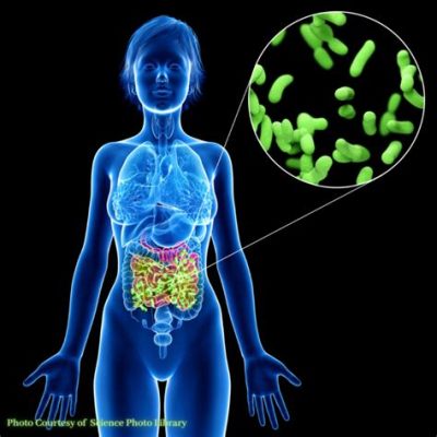 タンパク質 ヨーグルト：宇宙の謎と腸内細菌の関係性