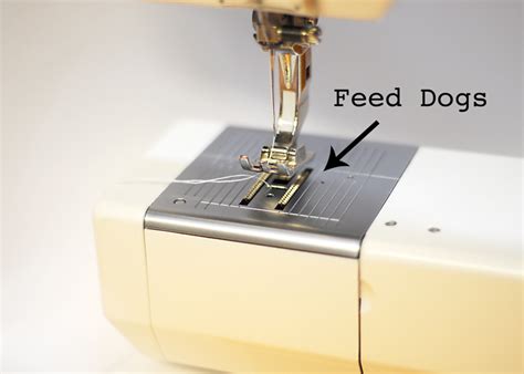 What is a Feed Dog on a Sewing Machine, and Why Does It Dream of Electric Sheep?