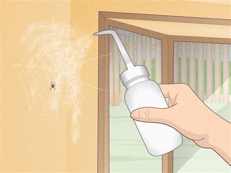 What to Spray to Keep Spiders Away: A Tangential Discussion on Arachnid Aversion and Beyond