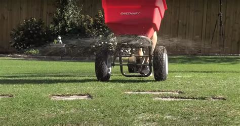 When to Apply Phosphorus Fertilizer to Lawn: A Comprehensive Guide to Timing and Techniques