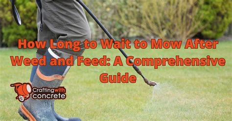 When to Mow After Weed and Feed: A Symphony of Grass and Chemicals